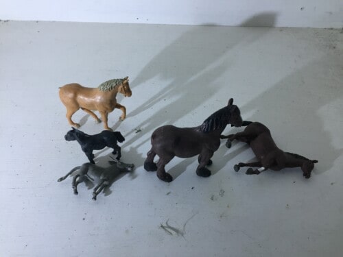 Horses